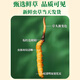 Cordyceps frais Sinensis Verrouillage sous vide Emballage frais Sf Express Chaîne froide Origine directe des cheveux directs Big Gras