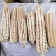 In the 1970s, old varieties of corn, white horse teeth corn seeds, traditional farmers can save stupid corn, old varieties of white corn seeds 100 grams