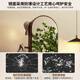Xingao SHENGTANG rotierende Ganzkörperspiegel bodengesteuertes Spiegel Haushalt beweglicher Schlafzimmer Dressing Spiegel Hanging Coat Rack integriert große rotierende Kleiderspiegel-Quadrat-Wallnussfarbe