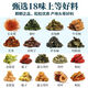 玉米须桑叶茶青钱柳蒲公英牛蒡根桑叶山楂苦荞花茶养生茶包 精选玉米须桑叶茶【90包】