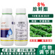 List Bao 8 Aminoglycerol increases chlorophyll, promotes photosynthesis, enhances absorption, regulates balance, and increases yield 300g