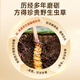 
Purple and Blue Flower Sea [Narqu, Tibet] Authentic Wild Cordyceps sinensis New Dried Cordyceps High-end Nutritional Gift Box for Parents and Elders [Narqu, Tibet] Wild Medium Broken Grass 100g