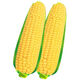 Sweet and crispy fruit corn big cob, early maturing, fragrant and super sweet corn, eaten raw in the field for all seasons, high quality fruit corn seeds, trial planting 5 seeds