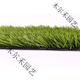 Simulated lawn carpet, artificial fake turf, artificial plastic outdoor kindergarten school green fence football field grass 3cm special thick export grass (10 square meters)