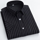 GY Yagel summer off-white pure cotton small plaid short-sleeved shirt for men casual half-sleeved lapel classic plaid F983 3XL 43