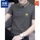 罗蒙（ROMON）翻领碳灰色夏季时尚潮流pol.o衫男装纯棉短袖t恤工作服打底衫 碳灰色S5012款 刺绣翻领 M 85-110斤