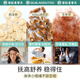 
Old Gutou American ginseng Ganoderma lucidum corn shui tea mulberry leaf tea green money willow health tea burdock root cassia tea tangerine peel stay up late tea American ginseng Ganoderma lucidum corn shui high and low tea