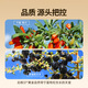 宁之春红黑枸杞原浆1200ml礼品盒 端午节礼物送长辈 宁夏枸杞鲜榨不添加