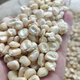 In the 1970s, old varieties of corn, white horse teeth corn seeds, traditional farmers can save stupid corn, old varieties of white corn seeds 100 grams