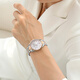 King calorique Zhijian Light and Luxury Niche Regardez le petit cadran féminin Tempérament polyvalent de la montre de montre imperméable de la femme Zhijian CK15839