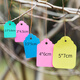 BENXINNONG (BENXINNONG) 100 sheets of rope plastic labels plant tags gardening potted small hanging tags succulent labels marking signs HXM 6x4cm red 100 sheets in a bundle