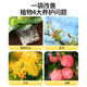 Laianping'an potassium dihydrogen phosphate flower fertilizer, special phosphorus and potassium fertilizer for flowers, agricultural flowers, foliar spray fertilizer, general purpose for plants
