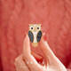 Feiyu A cute owl brooch women's niche high-end exquisite fashion luxury temperament high-end light luxury with suit owl brooch