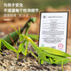 
Remote-controlled mantis electric simulation toys Douyin prank artifact Cockroach boys can move spider crawling animals [Classic version - Remote-controlled ladybug] Red model 9922+ [Upgraded version] Another 24 electronics