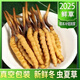 头期新鲜冬虫夏草大号鲜草顺丰冷链产地直发2025头茬新鲜虫草 西藏鲜虫草每条0.5-0.6克20条装
