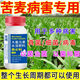 Songqing's special fertilizer for powdery mildew on bitter wheatgrass disease. Complete treatment of bitter wheatgrass disease. 3 bottles of powerful effect.