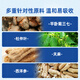鲜丰春天麻三七通络片天麻杜仲叶平卧菊三七通络片中老年人36克*2瓶