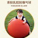 
Guangdula 18-inch super large balloons children's outdoor thickened colored large balloon park grass explosion-proof pat ball 10 sets