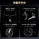 喜德盛（xds）xds ad300喜德盛ad300 25款山地车喜德盛公路车公路自行车喜德盛 2025款|白蛇 700Cx510mm|身高175-185cm