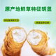 
2025 first-term fresh grass fresh cordyceps genuine fresh cordyceps natural fresh cordyceps nutritional nourishment gifts Tibetan fresh grass 0.5-0.6 grams/piece 30 pieces of 2 pieces Cordyceps SF Express delivery