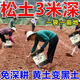 Soil loosening essence without deep plowing to improve soil hardening soil activator black water fertilizer vegetable garden plowing and loosening artifact 500g 1 bag loosening essence soil activator