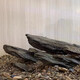 Pure natural stream stone fish tank landscaping stone flakes turtle basking back schist climbing pet rockery terrace landscaping stone 3Jin Jin equal to 0.5kg 20-30cm schist size matching