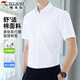 Woodpecker (TUCANO) shirt men's summer short-sleeved shirt business formal solid color casual fashion versatile men's clothing white 2XL