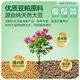 Stanley soybean meal organic fertilizer fermented decomposed granules potted plants universal flower special cake fertilizer flower fertilizer 2.5 Jin Jin equal to 0.5 kg