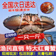 Dongshan Island fresh red mud crab, Fujian wild special red sturgeon, whole female, large oyster midge, butter crab, seafood gift box, male and female, 3-5 pieces, 2Jin Jin equals 0.5kg, net weight