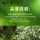 福茗源茶叶 四大乌龙500g 2025新茶铁观音大红袍冻顶乌龙凤凰单枞茶礼盒