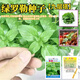 Basil seeds green stem nine-story tower planted lemon sweet basil balcony courtyard planting edible green basil seeds nine-story tower 100 capsules + fertilizer