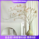 Wen Shi Ou Shan Return natural plant dried flower bouquet living room decoration wabi-sabi wind flower arrangement dry branches decorative ornaments dry branches red mountain return short branch 5 dried flowers 45-60cm