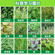 Eastern Sichuan pesticide cyclazinone weed killer, large trees, bamboos, miscellaneous shrubs, rotten roots and dead roots, special pesticide herbicide 500g
