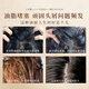 Princess Ya White Tea Cold Scent Shampoo + Conditioner for Men and Women Long-lasting Flavor Control Oil Control Anti-dandruff Soft Washing Set 1000ml