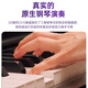 Yamaha (Yamaha) YDP-145B 88-Key-Hammer Hammer vertikal erwachsene Anfänger Kinder Home Grade Examination Elektronisch Klavik Schwarz + Geschenktüte
