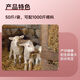 Jin Haoyuan Jin Haoyuan 5% ewe premix 50 Jin Jin is equal to 0.5 kg to improve postpartum recovery of breeding milk