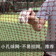 Badminton net standard portable outdoor badminton net frame blocking outdoor badminton portable simple isolation net red badminton net [6.1 meters * 0.76 meters] standard specifications/available indoor and outdoor