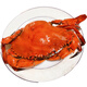 Dongshan Island fresh red mud crab, Fujian wild special red sturgeon, whole female, large oyster midge, butter crab, seafood gift box, male and female, 3-5 pieces, 2Jin Jin equals 0.5kg, net weight