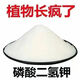 5 Jin Jin is equal to 0.5 kilograms of potassium dihydrogen phosphate foliar fertilizer genuine potassium dihydrogen phosphate official store agricultural fertilizer tree vegetable flower fertilizer 10 Jin Jin is equal to 0.5 kilograms in barrels
