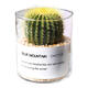 Succulent plant cactus potted indoor succulent cactus small potted flowering cute desktop green plant gold crown + glass pot + gold sand + nutrient soil with pot