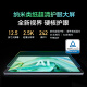 科大讯飞人工智能旗舰学习机T30 Lite 12.5英寸护眼大屏 中高考同源技术 星火+DeepSeek双AI模型 8+512G 
