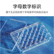 corning康宁 6 12 24 48 96孔 低吸附TC U底培养板 Costr 3513 35 3524(24孔)
