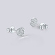 Saturday Fortune (ZLF) PT950 platinum earrings for women, platinum car flower sparkling earrings for women, one pair - 1.93g