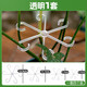 Monstera Pflanzenträger Pole Blume Phalaenopsis Fixed Green Plant Anti-Lost Gartenblütenstillkollektor [1 Set] einschließlich vier Größen
