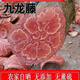 北京同仁堂广西深山九龙藤中药材野山五花血藤干货龙须藤正宗梅花入骨野生 深山/臻选[出口级]特级 [九龙藤1098克]正宗农家采挖