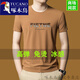 Woodpecker (TUCANO) short-sleeved T-shirt men's round neck without marks in summer high-end silk free half-sleeved top clothes base shirt comfortable and versatile gray 13578 short-sleeved M 165