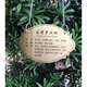 Letrero de árbol hecho a medida de acero inoxidable metal plantas verdes letrero ecológico patio flores y árboles introducción adopción plug-in acero inoxidable 20*15