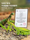 Ferngesteuerte Mantis Elektrische Simulation Spielzeug Streich Artefakt Kakerlach Boy Moves Spider Web Promi Crawling Animal Classic Version-Fernbedienungs-Fly Blue Model 9921+ Schrauben Upgrade-Version mit weiteren 24 Elektronik