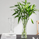 Lucky bamboo glass vase hexagonal living room water culture flower arrangement hydroponic lily vase large ornamental vase for home 25 high hexagonal vase tulip style 1