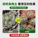 Succulent special nutritious soil for green plants, general household flower soil, loose and breathable, succulent vegetable and flower planting soil 5 liters* succulent special soil
